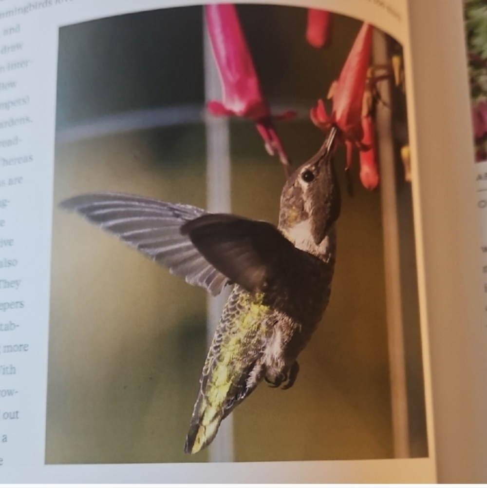 Hummingbird Handbook Book - Picture 2 of 4